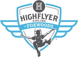 highflyer zipline logo